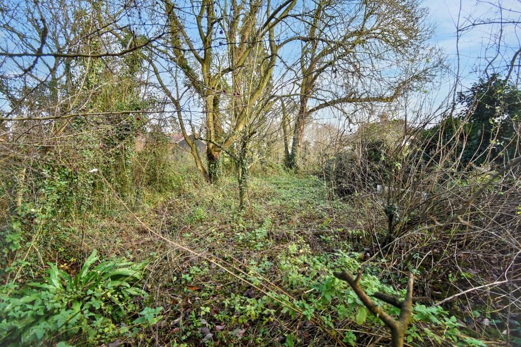 Extra garden land