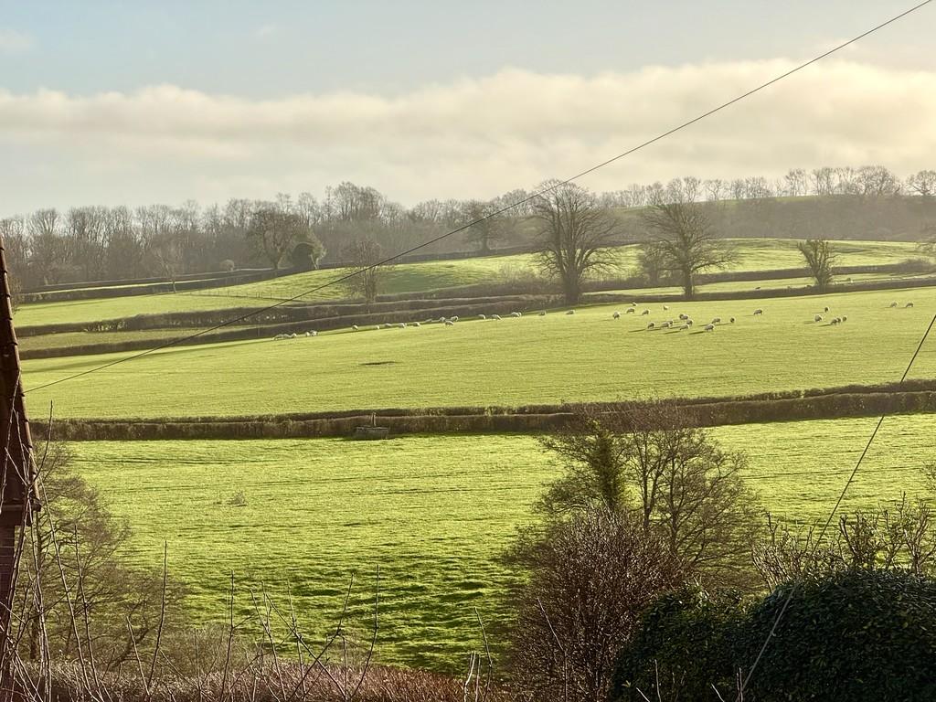 View From Window