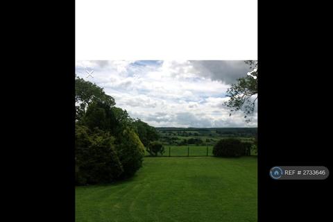 undefined, Slaley, Hexham, NE47