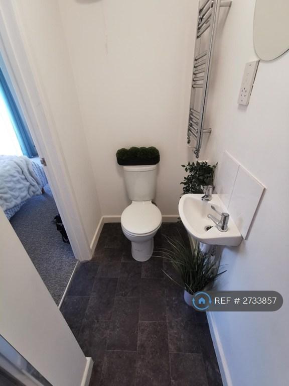 Light, Bright Double En-Suite Garden Room