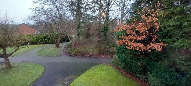View from bedroom