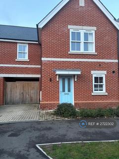 3 bedroom semi-detached house to rent, Maigold Avenue, Colchester, CO4