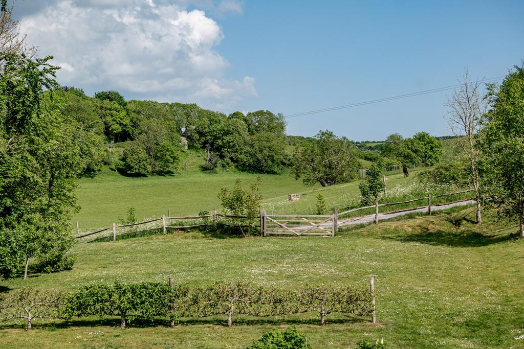 Paddocks