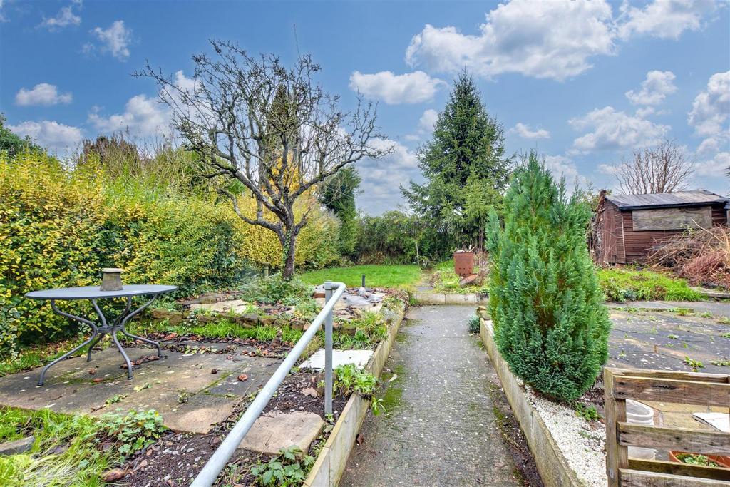 Garden 3.jpeg