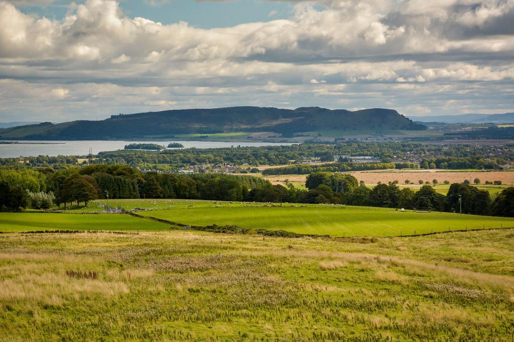 Far Reaching View