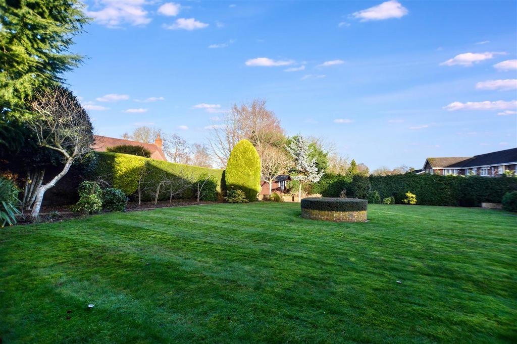 Garden 10.jpeg