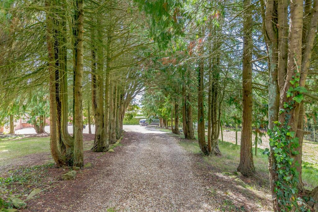 Driveway