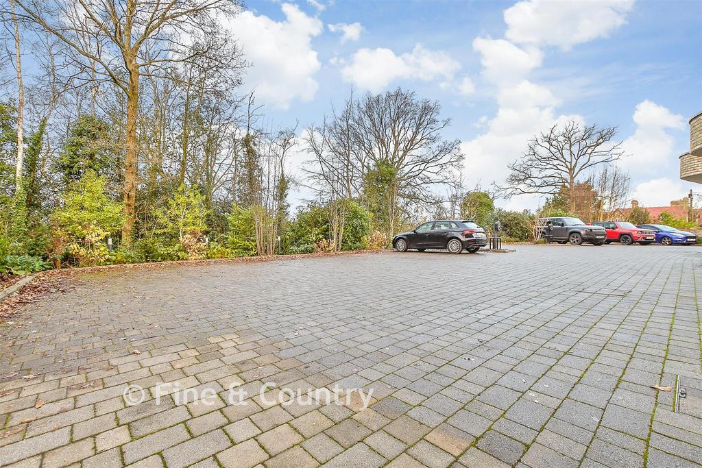 Driveway/Parking