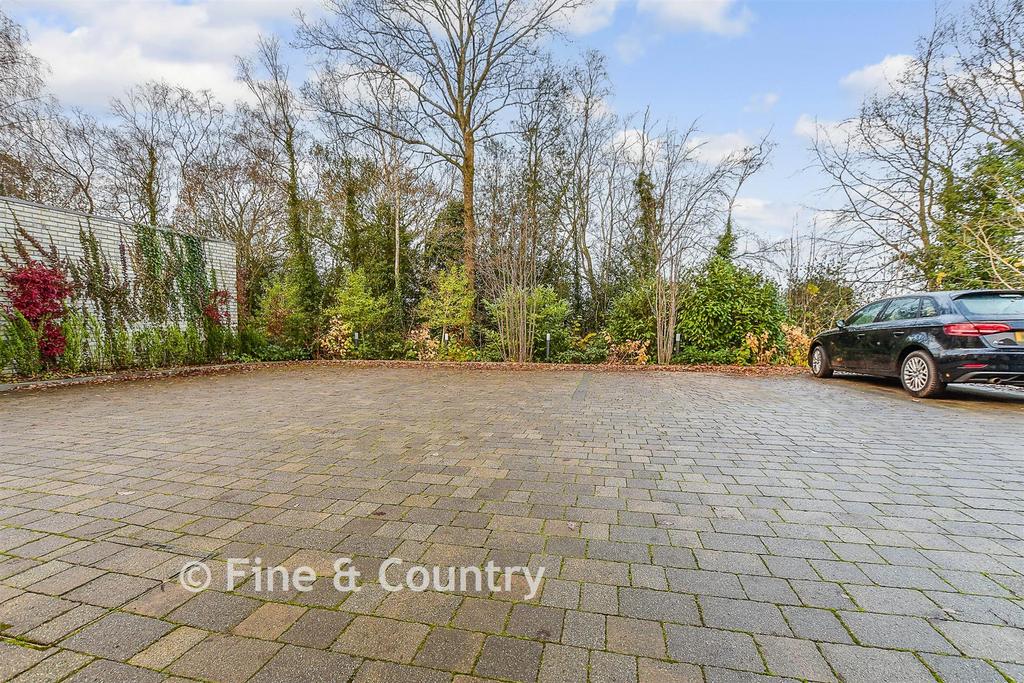 Driveway/Parking