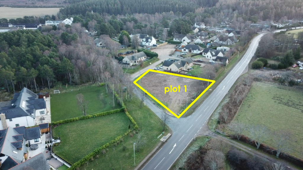 Plot 1 drone mark up 1.PNG