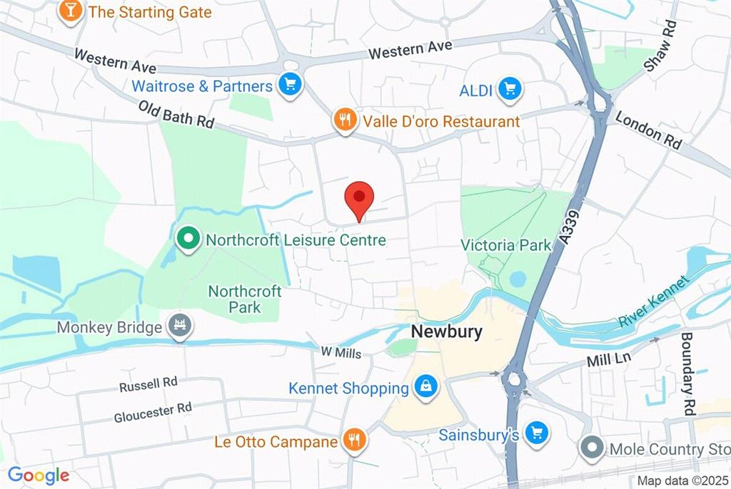 Google Maps Image