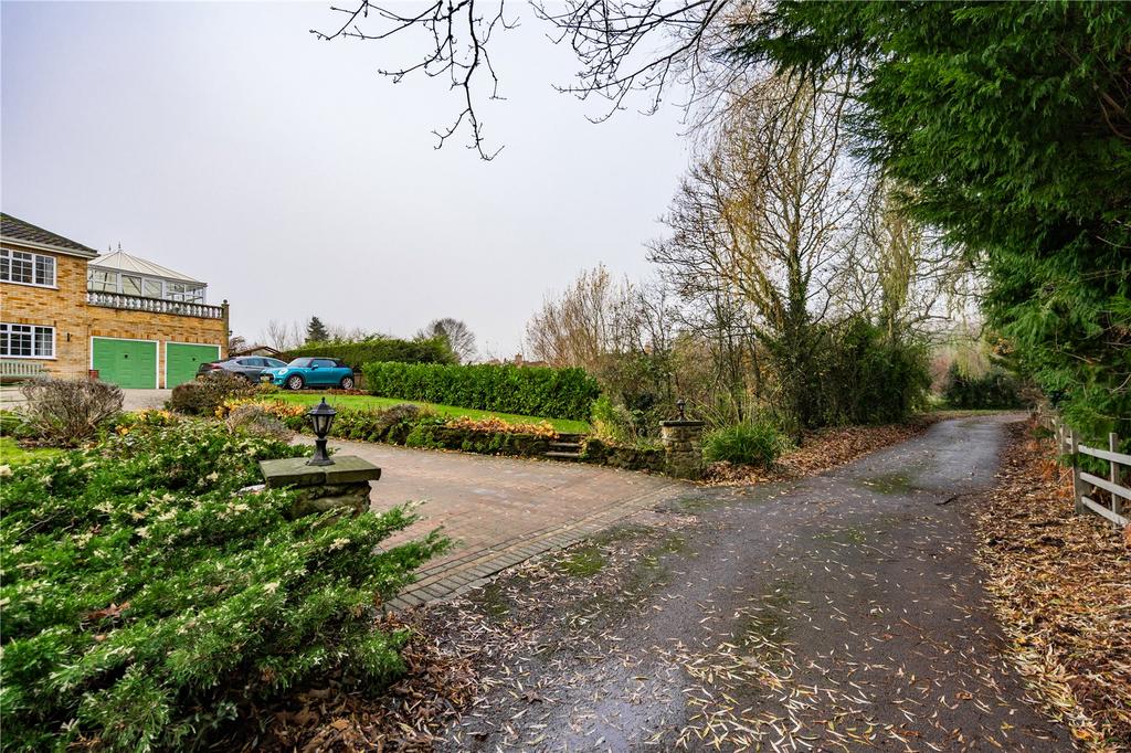 Driveway/Lane