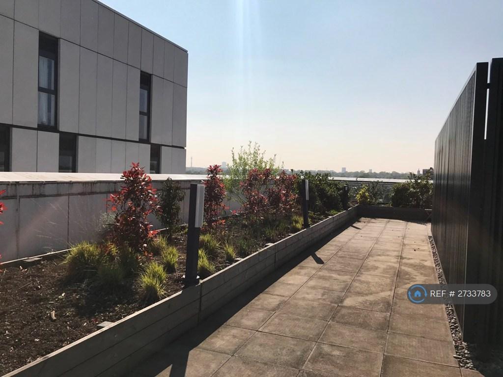 Roof Toop Terrace