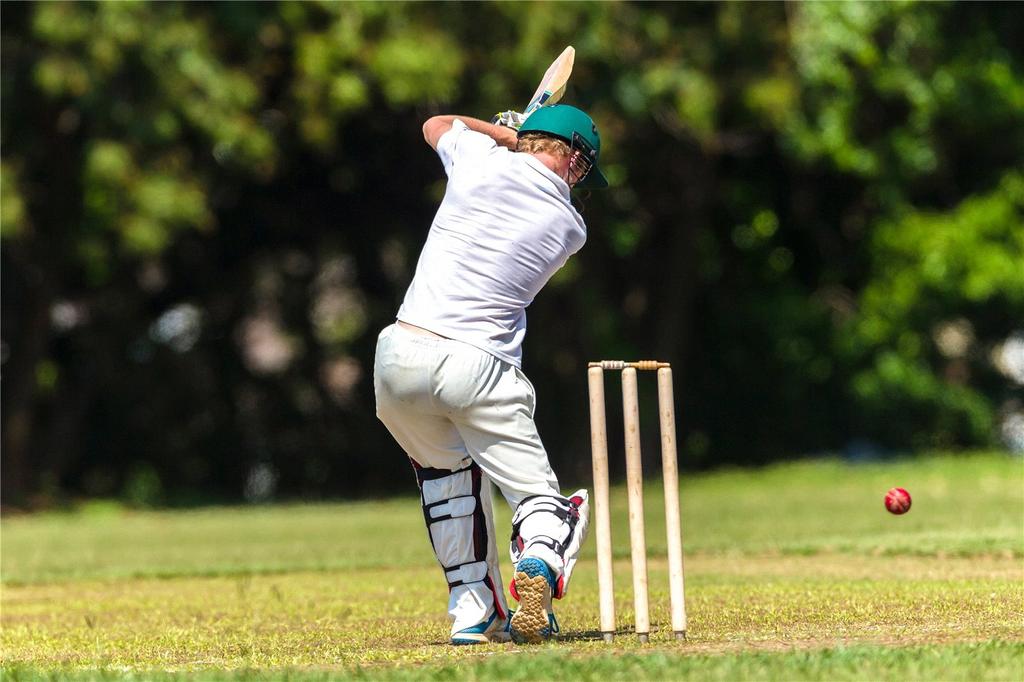 Cricket