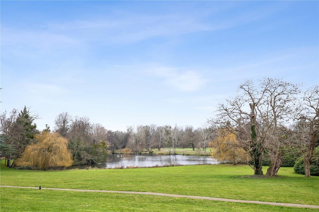 Grounds