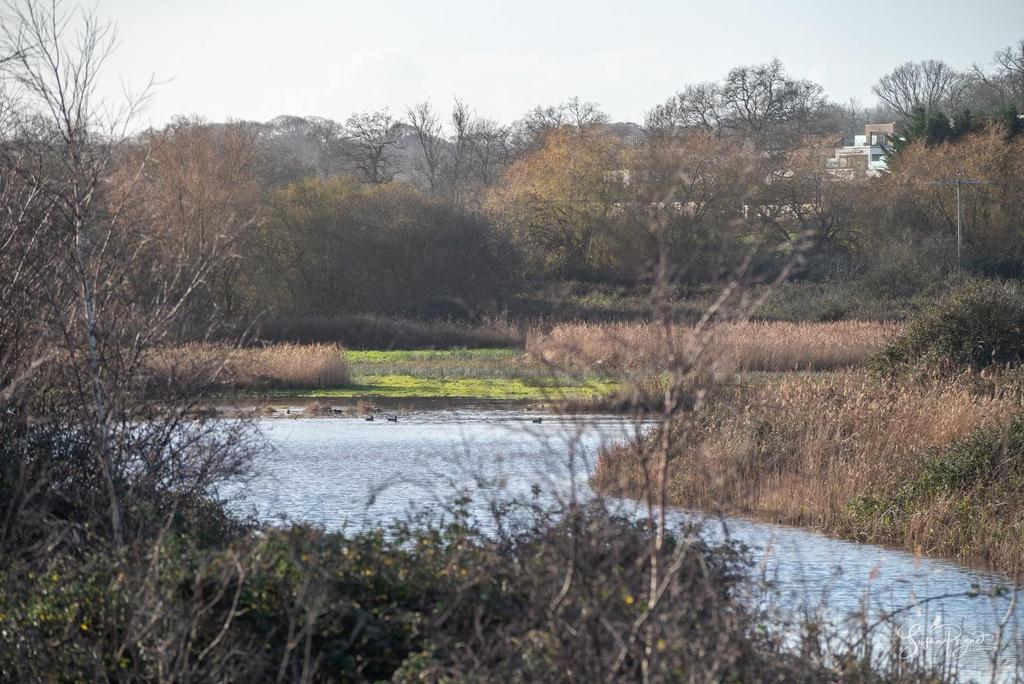Nature Reserve