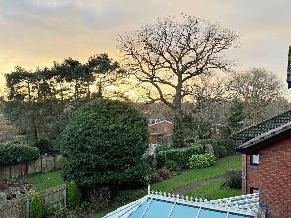 Sunset Views