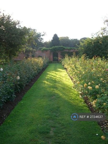 Communal Gardens