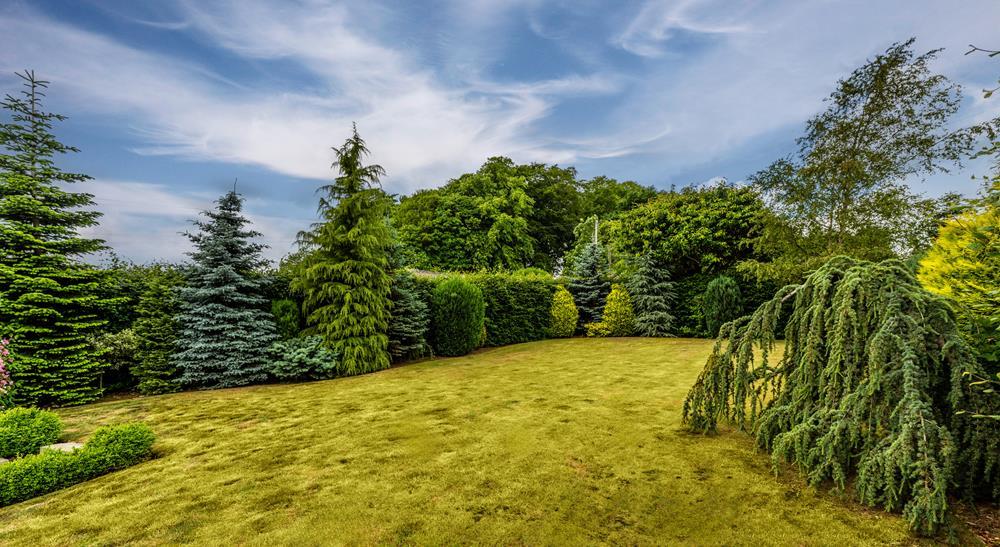 Garden 2