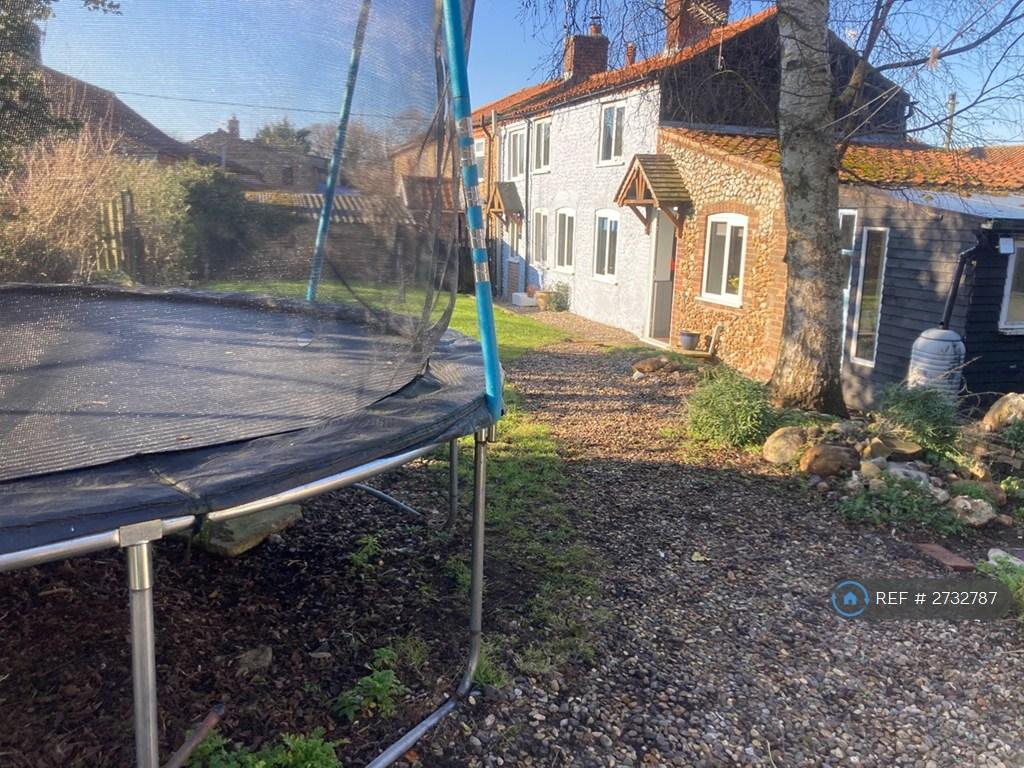 Trampoline And Garden