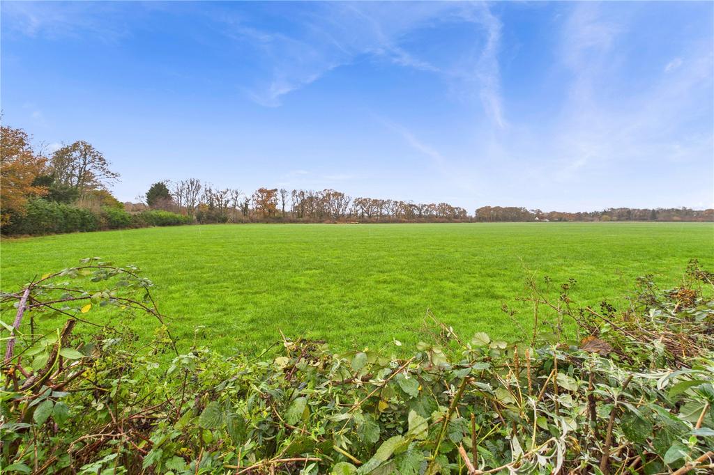 Fields