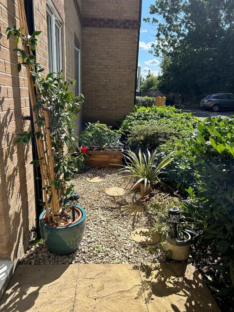 Patio 3.jpg
