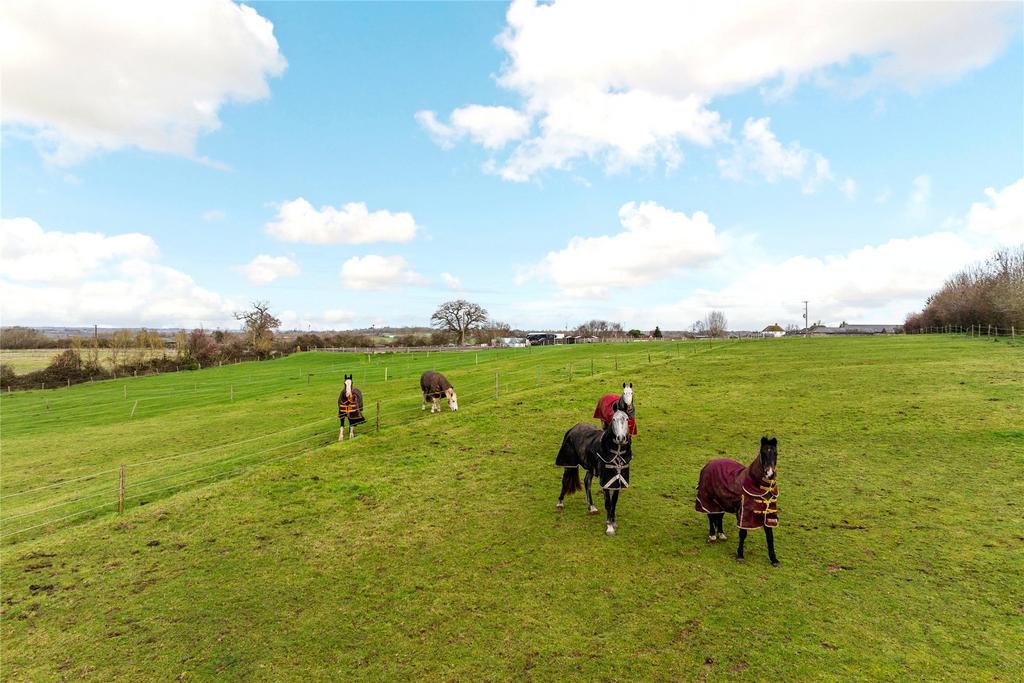 Paddocks