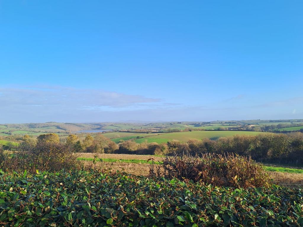 Whats App Image 2025-11-28 at 10.29.00 0e568ef7