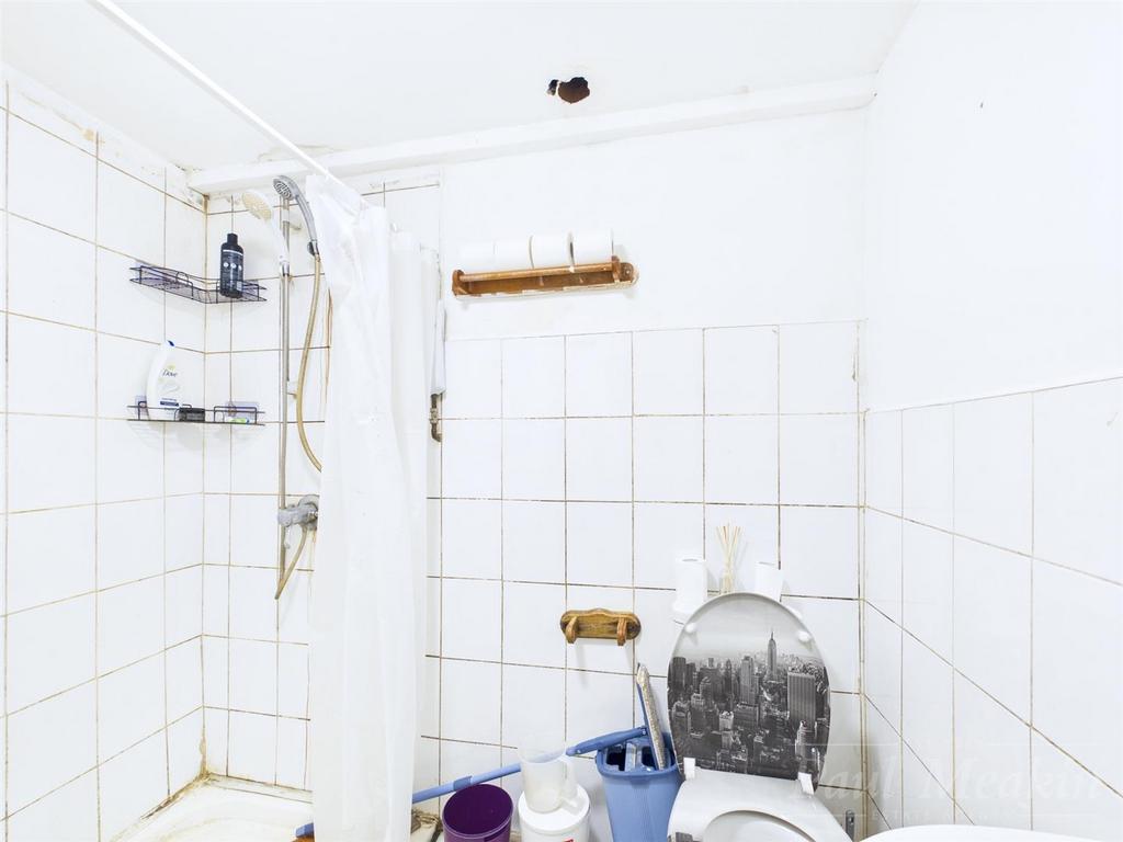 Annex bathroom