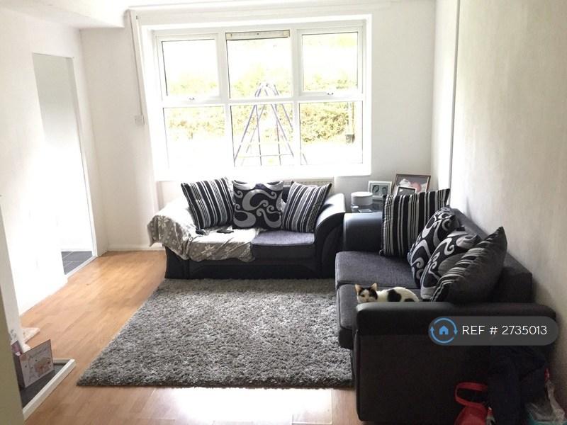 Large Lounge