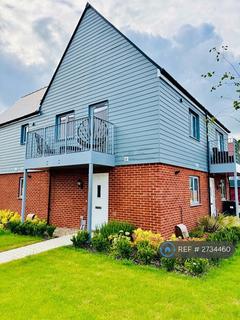 1 bedroom semi-detached house to rent, Choat Place, Chelmsford, CM1