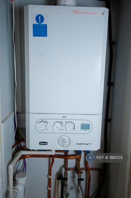 Gas Fired Boiler.