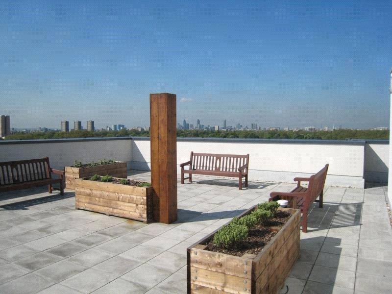 Communal Terrace