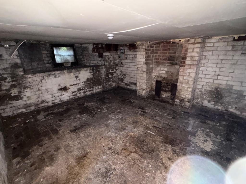 Cellar 3