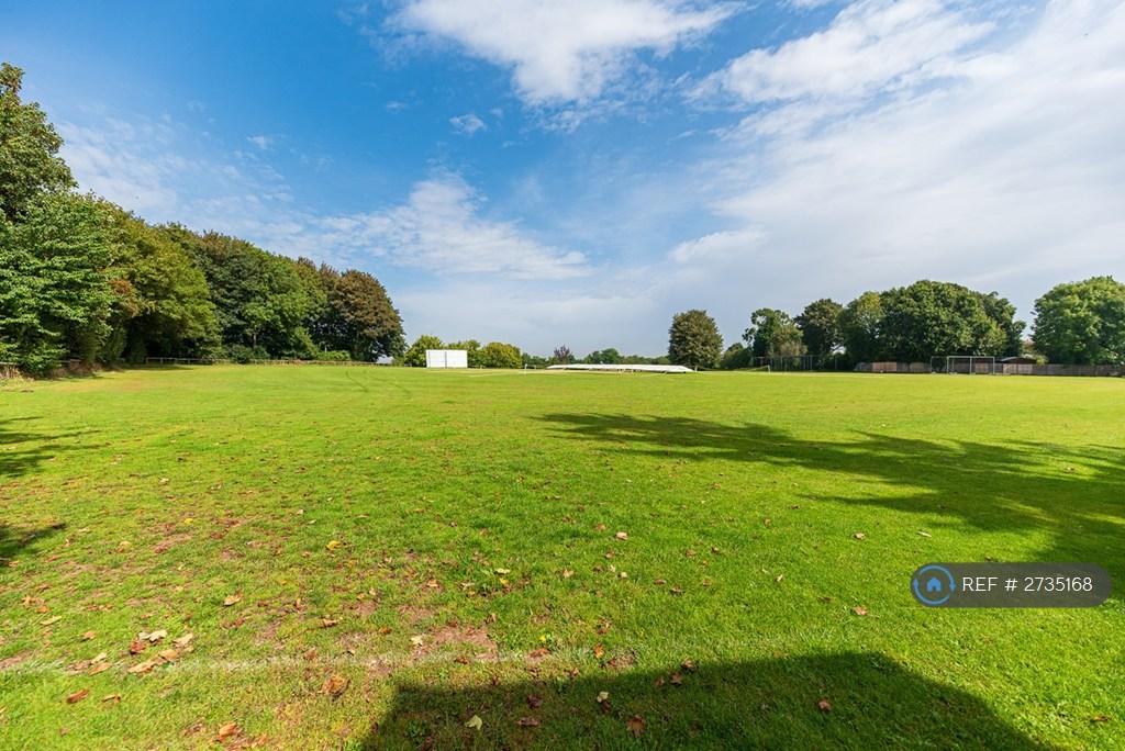 Cricket Field