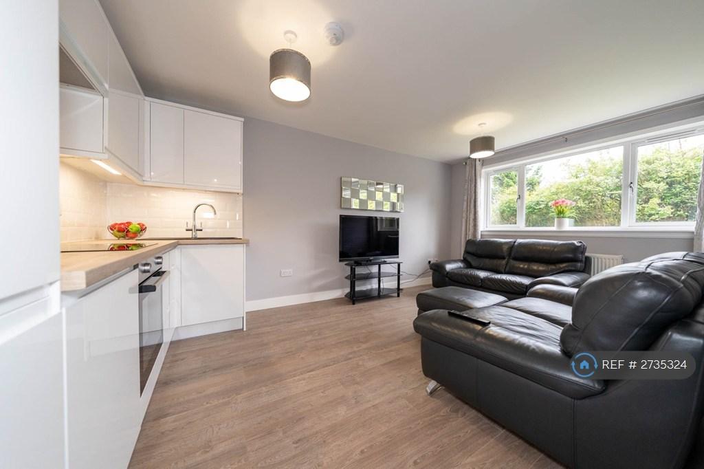 Open Plan Kitchen/ Lounge And Leather Sofas