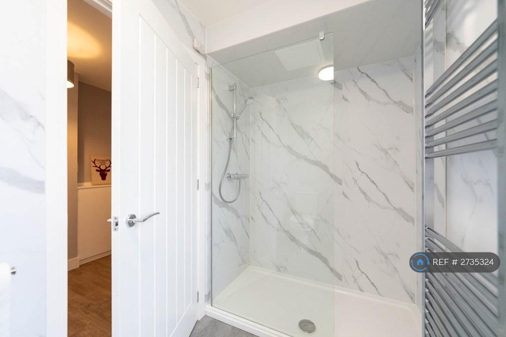Large Walk-In Shower And Heated Towel Warmer