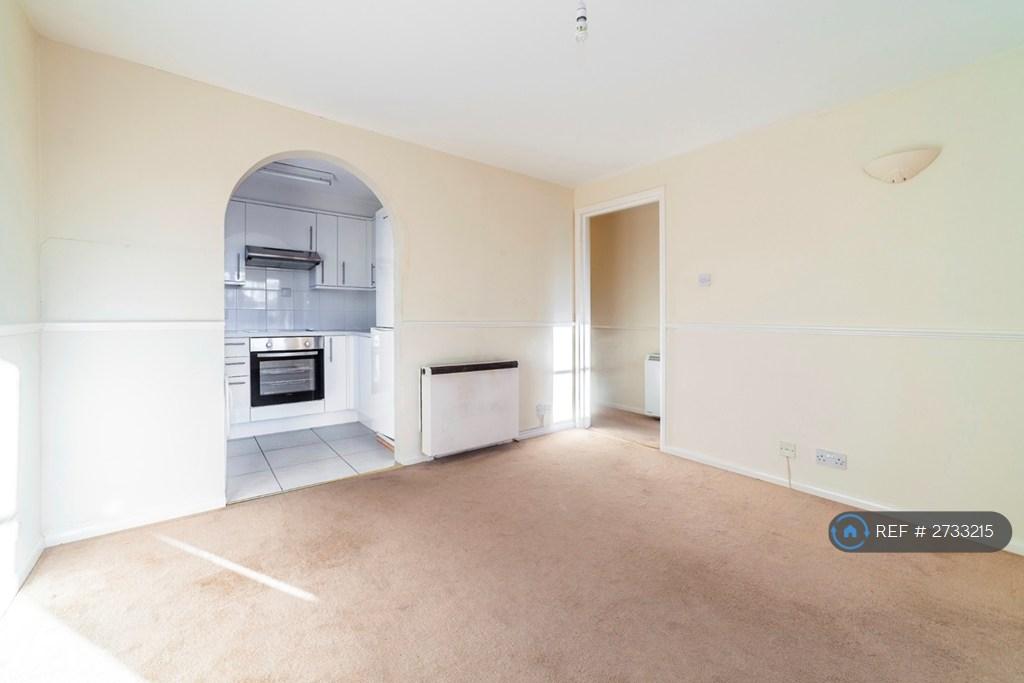 Open Plan Living Room And Kitchen
