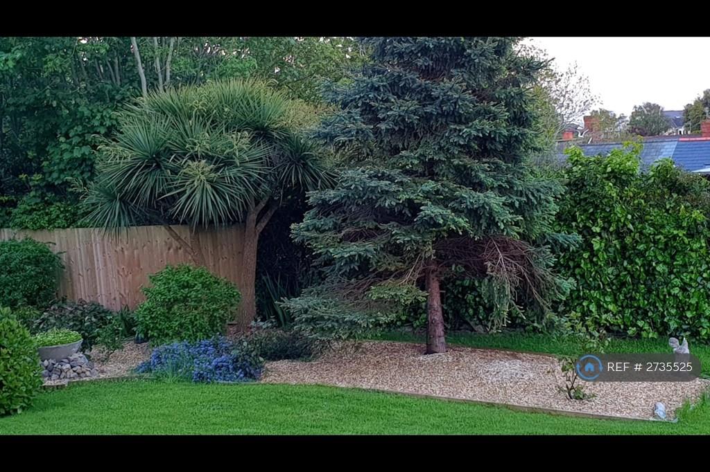 View From Bedroom