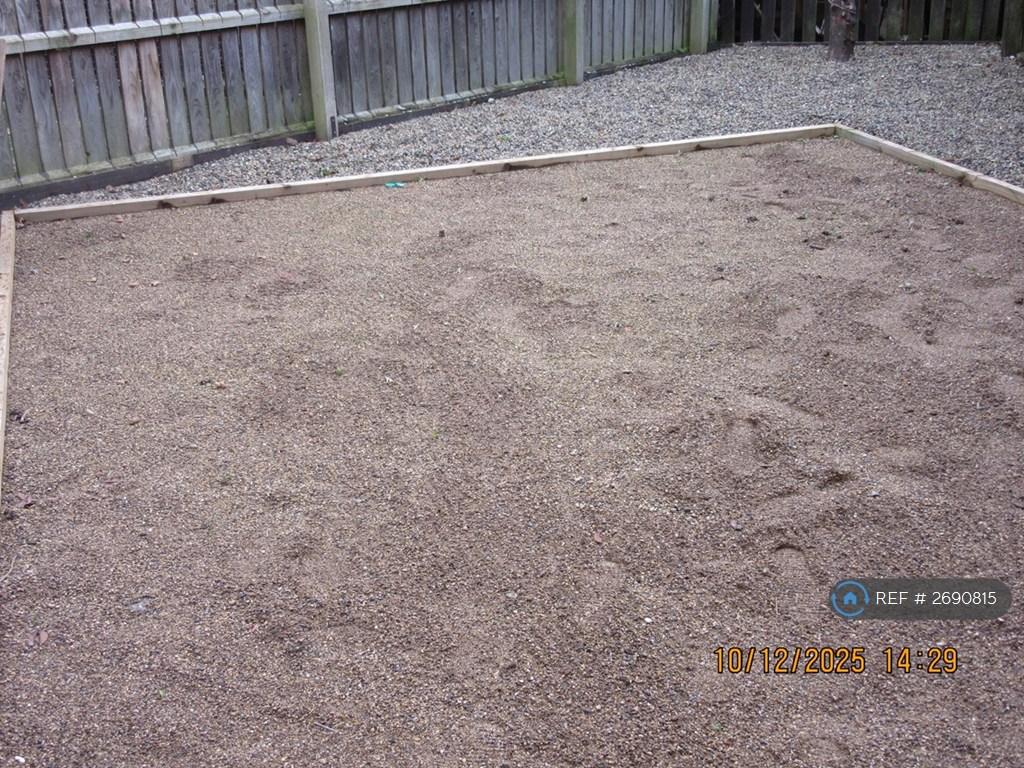 Back Garden