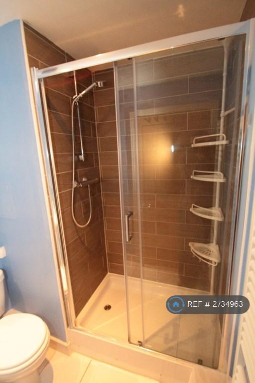 Ensuite Shower Room &amp; Toilet
