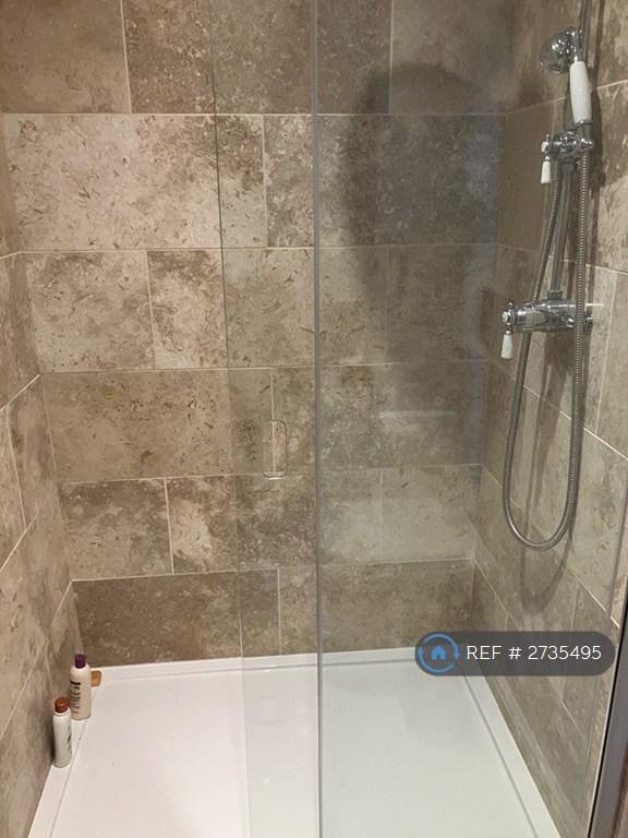 Shower Downstairs