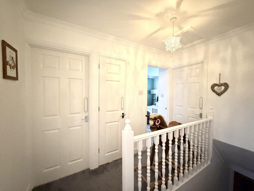 IMG 2846.jpeg