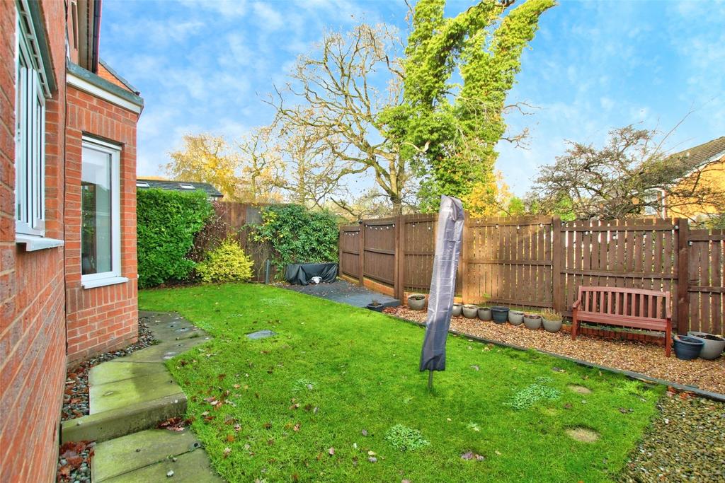 Back Garden
