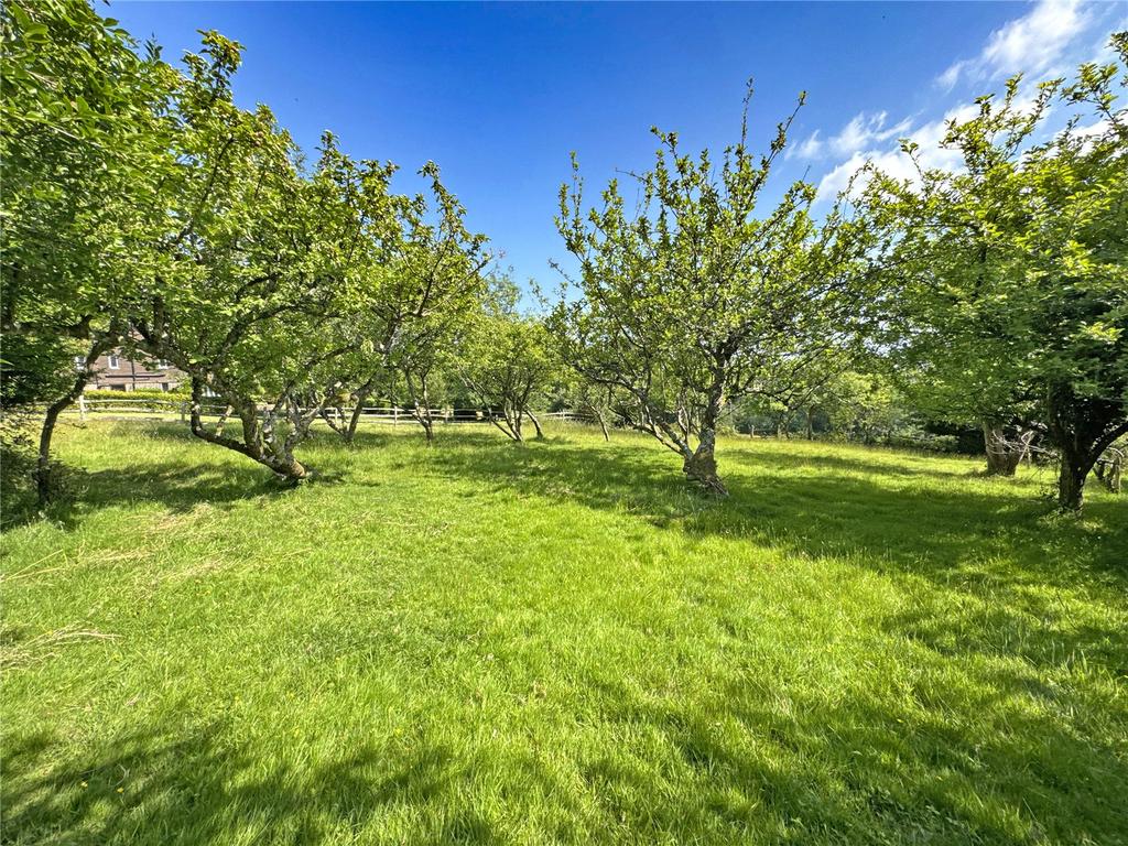 Picture No. 27