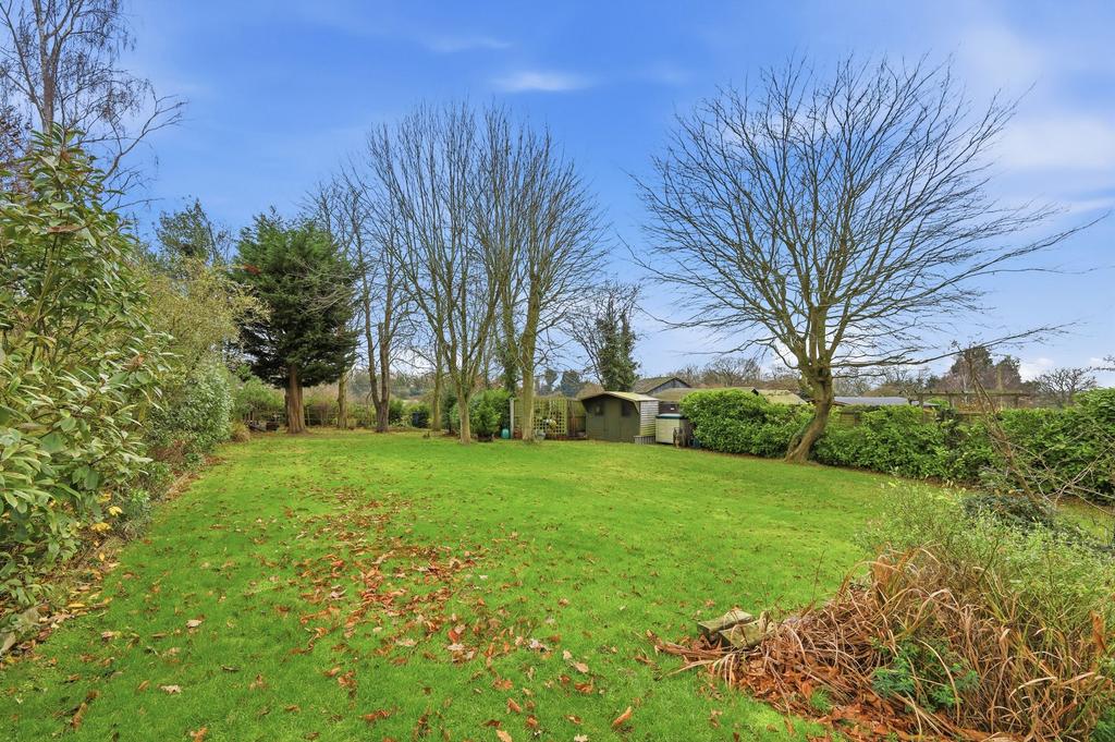 South Facing Garden