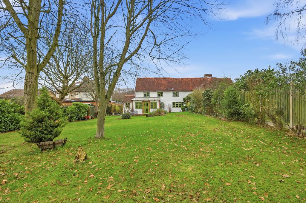 South Facing Garden