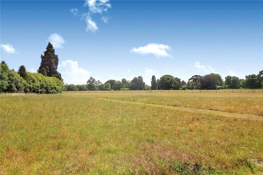 Communal Grounds
