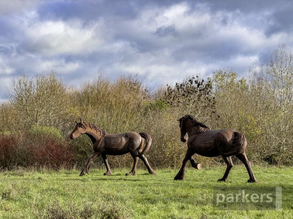 Nearby Country Park