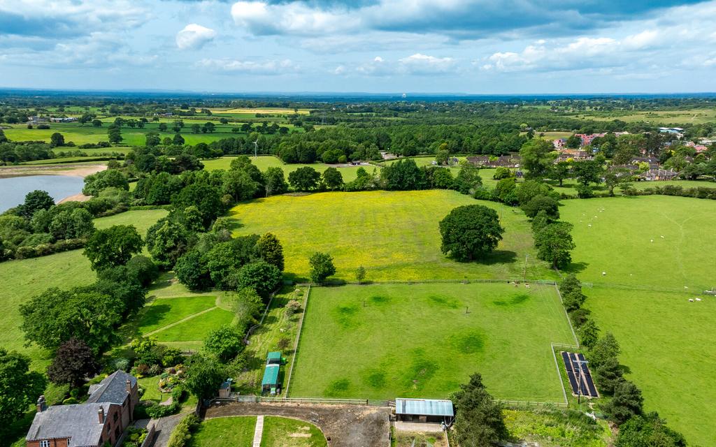 Grounds